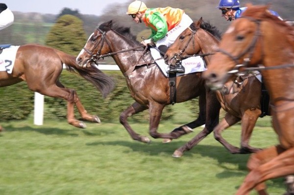 horseracing4581545_640.jpg