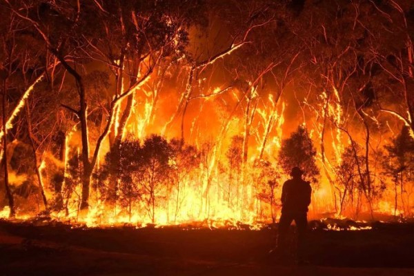 australian_bushfire.jpg